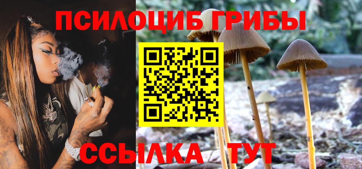 Балашиха  Галлюциногенные грибы Cubensis  даркнет сайт  Галлюциногенные грибы мухоморы  Вход с VPN 