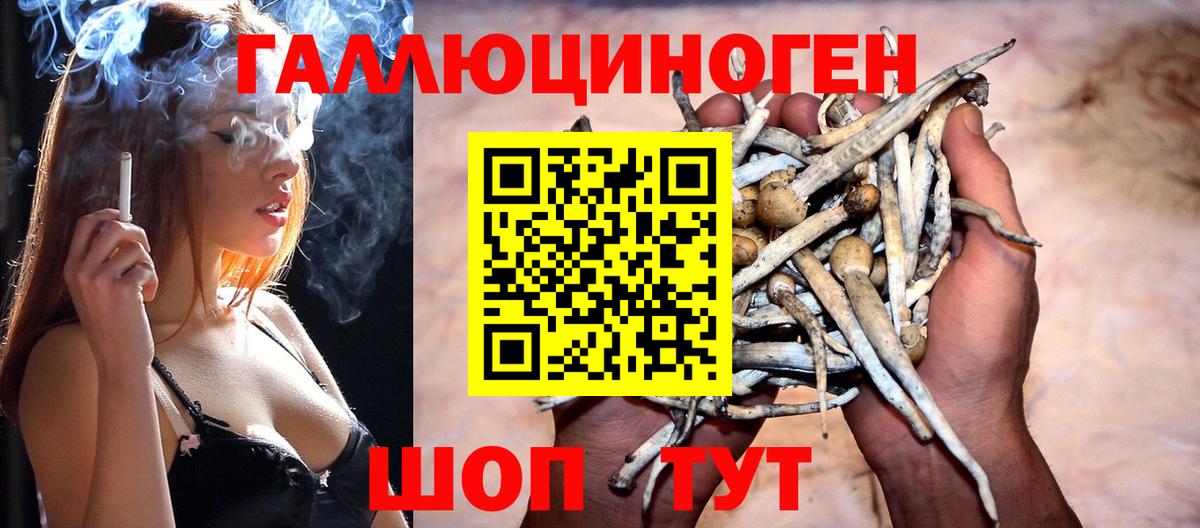 Галлюциногенные грибы мухоморы Балашиха